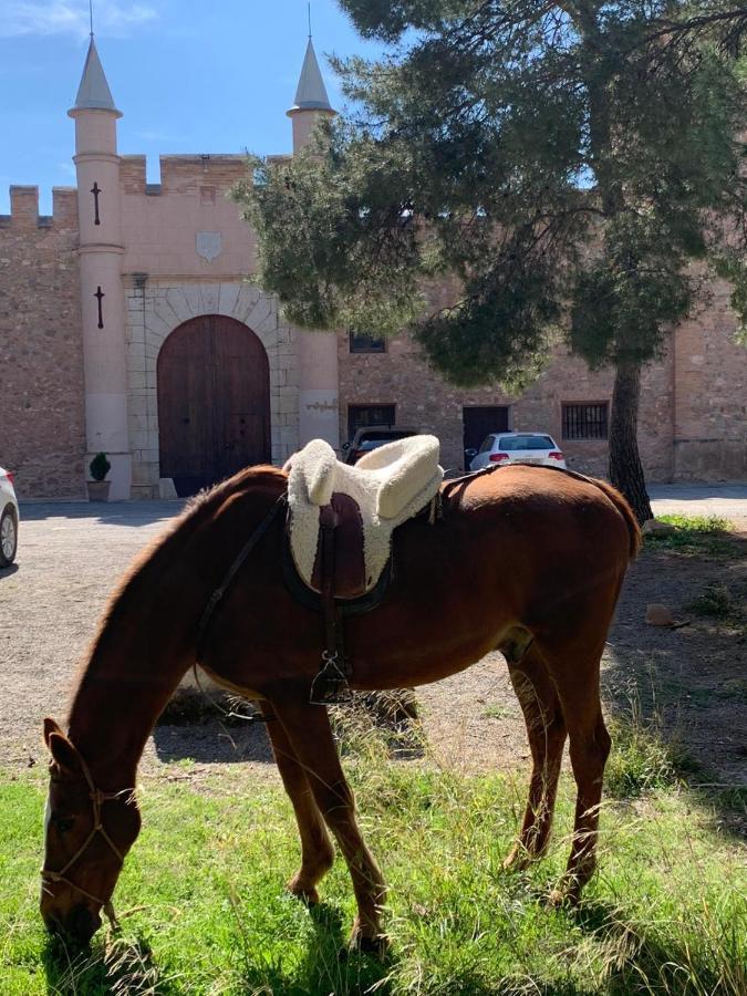 סגורבה Castillo Con Piscina En Plena Sierra Calderona מראה חיצוני תמונה